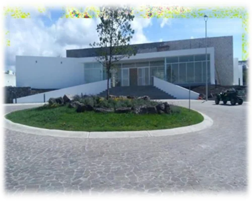 image (4)